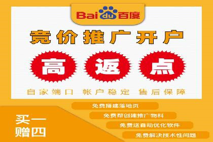 推广竞价策略优化：借鉴成功案例实现精准营销